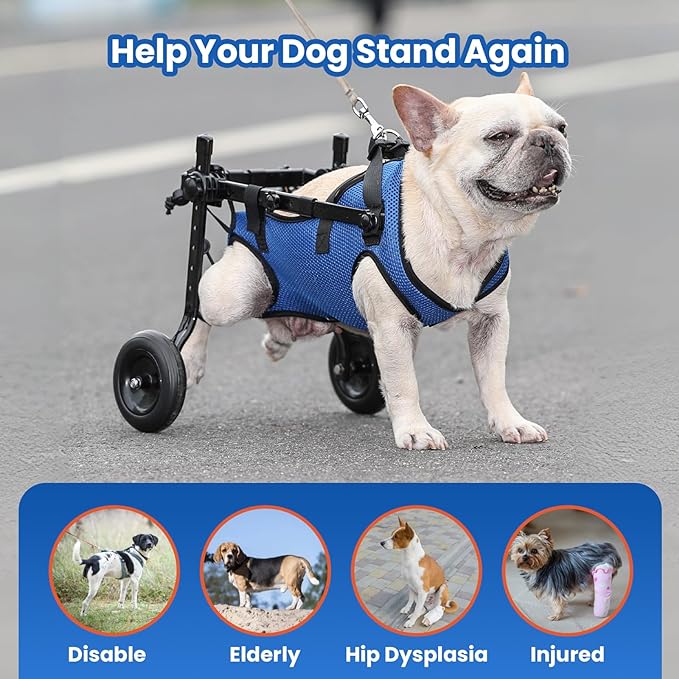 Dog Wheelchair for Back Legs, Dog Wheelchair for Small Dog, Adjustable Pets Cart with Wheels, Doggy Wheelchairs for Disabled Hind Legs, Dog Leg Brace and Hip Support, Small