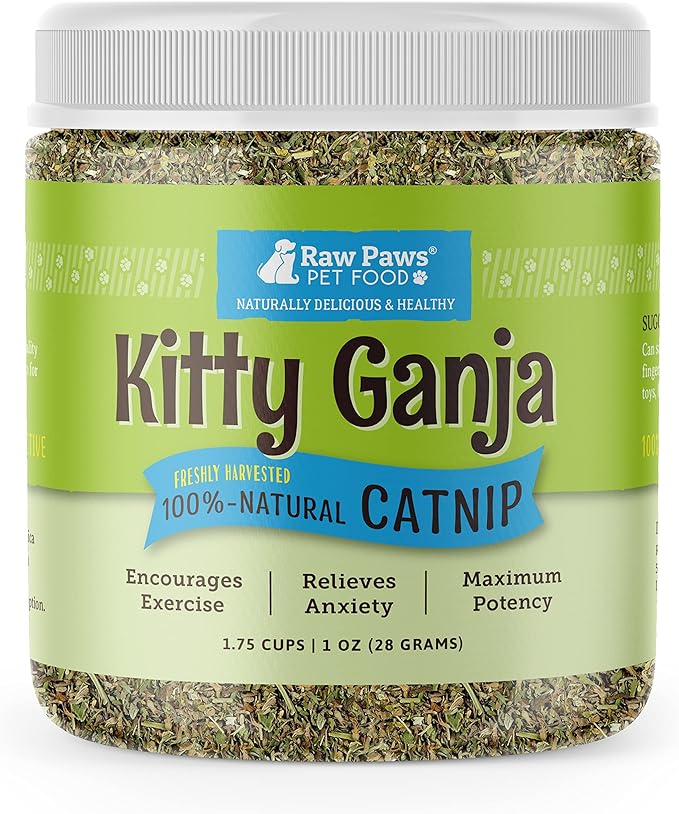 Raw Paws Natural Catnip for Cats, 1-oz - Use for Refillable Catnip Toys for Cats - Catnip Treats for Cats - Catnip for Dogs - Cat Nip Cat Grass - Dog Catnip - Dried Catnip Leaves & Seeds