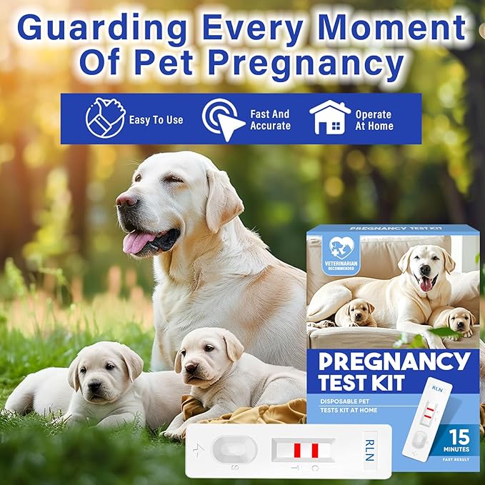 Dog Pregnancy Test, Dog Pregnancy Test Kit at Home, Early Pregnancy Test Strips for Pet, Convenient & Disposable Pregnancy Tests Strip