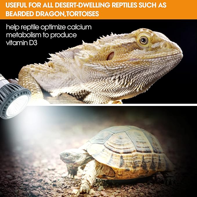 Premium High-Intensity UVB Reptile Light for Optimal Calcium Metabolism,5-Watt 10.0 Desert UVB Light Ideal for Desert-Dwelling Reptiles Bearded Dragons Tortoises (Desert 10.0 UVB)