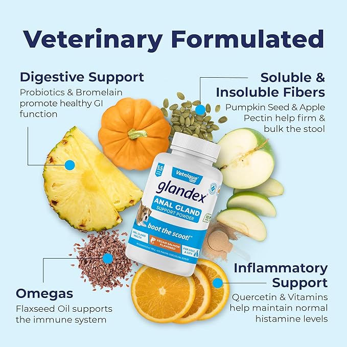 Glandex Dog Fiber Supplement Powder for Anal Glands with Pumpkin, Digestive Enzymes & Probiotics - Vet Recommended Healthy Bowels and Digestion - Boot The Scoot (Vegan Salmon, 5.5oz Powder)