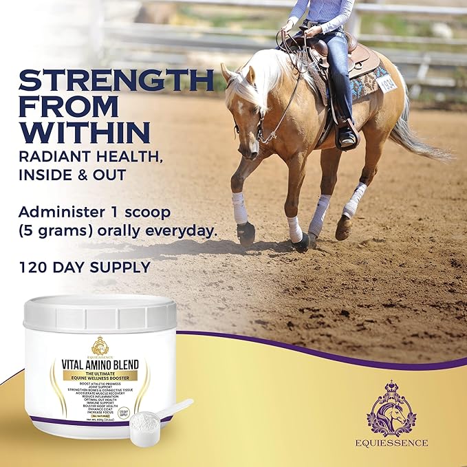 120 Day Supply - Vital Amino Blend - Horse Supplements - 9 Essential Amino Acids - No Fillers, No Sugar, No Soy - Horse Care - Horse Joint Supplement - Horse Hoof Supplements - Coat Care for Horses