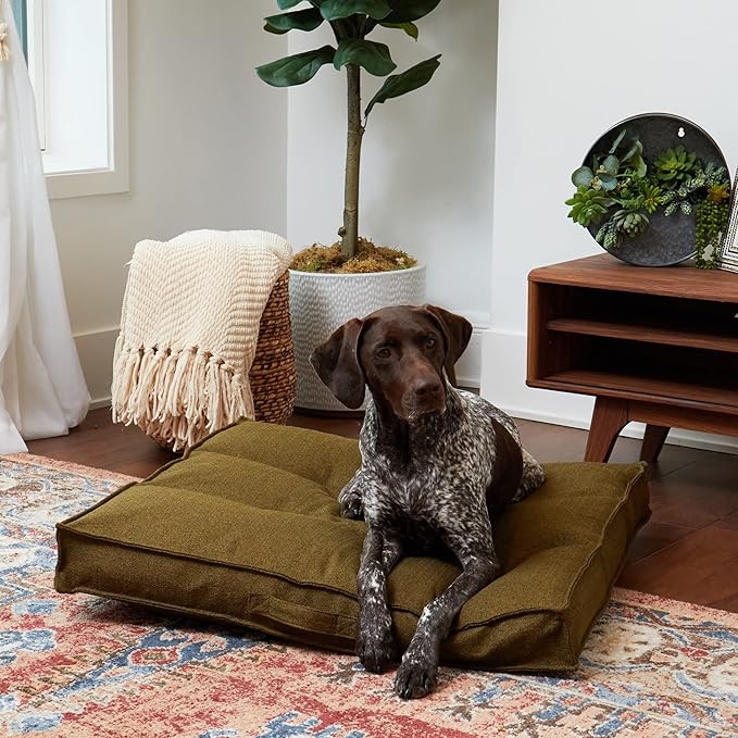 South Pine Porch Mila Square Tufted Pillow Style Dog Bed, Moss, Medium (32" x 32")