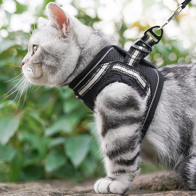 rabbitgoo Cat Harness and Leash Set for Walking Escape Proof, Adjustable Soft Kittens Vest with Reflective Strip for Cats, Comfortable Outdoor Vest, Black, XL