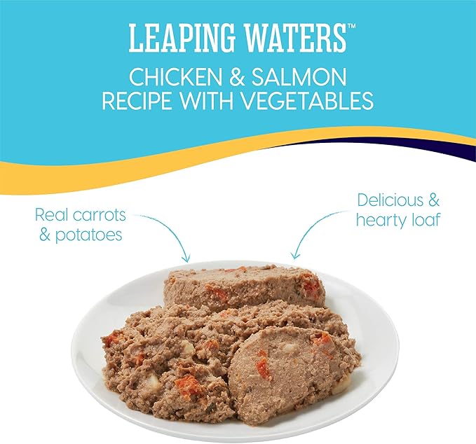 Solid Gold Wet Dog Food for Adult & Senior Dogs - Made with Real Chicken & Salmon - Leaping Waters Grain Free Canned Dog Food for Healthy Digestion & Sensitive Stomach