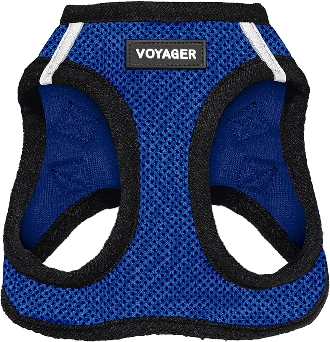 Voyager Step-in Air Cat Harness - All Weather Mesh Step in Vest Harness for Small and Medium Cats by Best Pet Supplies - Harness (Royal Blue/Black Trim), XXS (Chest: 10.5-13")