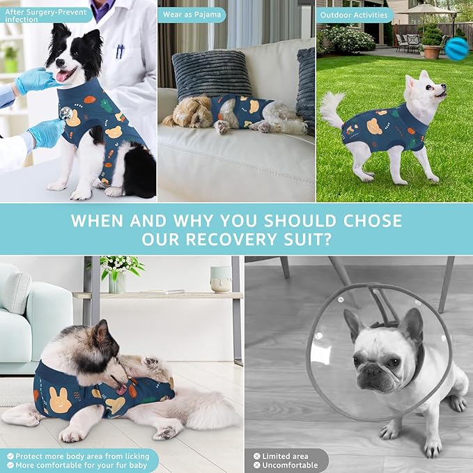 Recovery Suit for Dogs, Dog Surgery Recovery Suit with Zipper Closure Post Spay, Neuter, Abdominal Surgical Suit for Male Female Dogs Can Pee, Prevent Licking Dog Onesies, Blue Bear, 2XL
