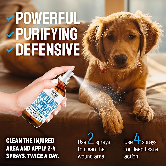 Wound Spray for Pets ● Colloidal Silver Wound and Skin Care for Dogs & Cats ● Helps with Rashes, Hot Spots, Itch, Scratching, Skin Irritation, Bites & Burns ● Safe if Licked (4 oz)