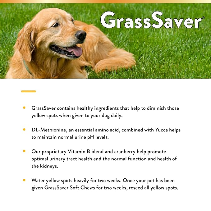 NaturVet – GrassSaver Supplement for Dogs – Healthy Supplement to Help Rid Your Lawn of Yellow Spots – Synergistic Combination of B-Complex Vitamins & Amino Acids – 120 Soft Chews