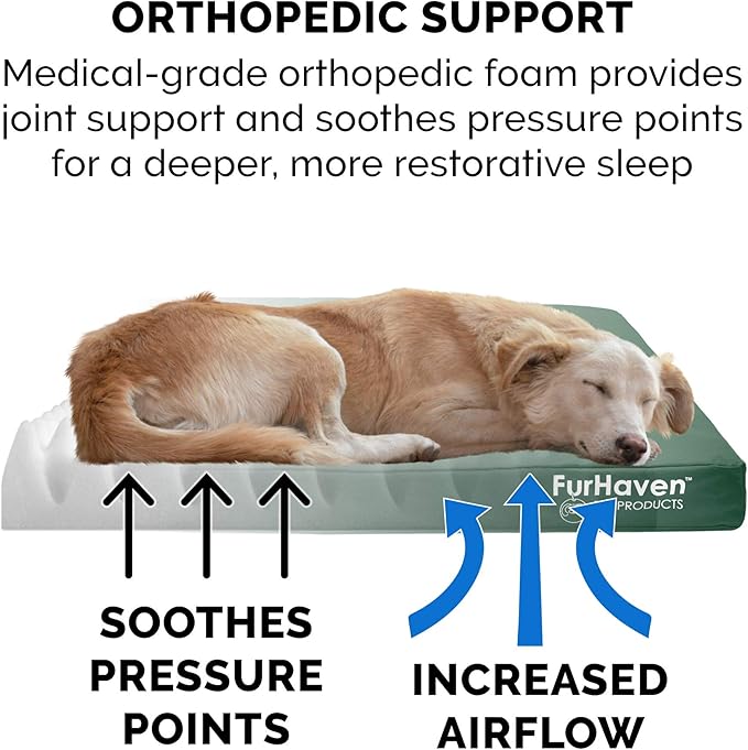 Furhaven Water-Resistant Orthopedic Dog Bed for Large/Medium Dogs w/ Removable Washable Cover, For Dogs Up to 55 lbs - Indoor/Outdoor Logo Print Oxford Polycanvas Mattress - Forest, Large