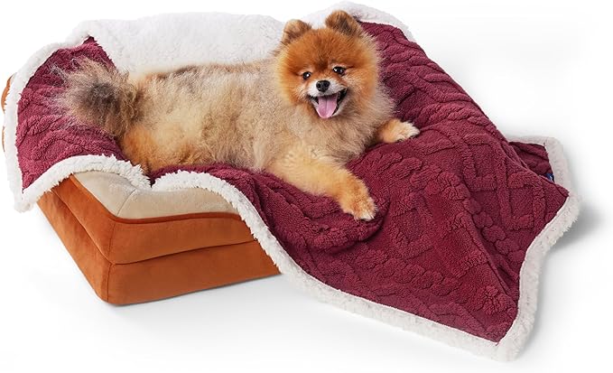 Bedsure Waterproof Dog Blankets for Small Dogs - Pet Blanket for Couch Protector Washable, Premium Jacquard Coral Fleece Cat Throw Blanket, Soft Reversible Furniture Protection, 25"x35", Burgundy