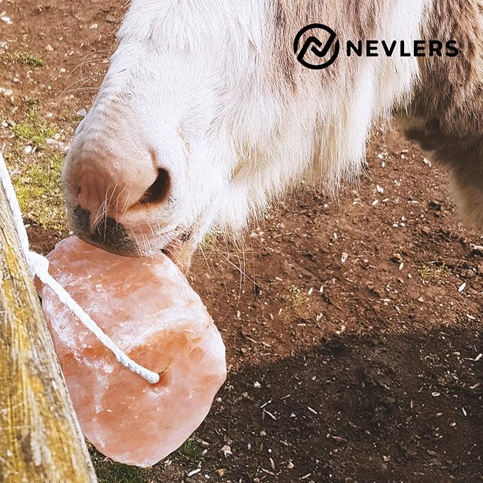 Nevlers 2 Pack Himalayan Salt Lick on Ropes for Animals -All Natural Pure Mineral Block - Himalayan Salt Block for Deer, Salt Block for Horses, Cows, & Other Livestock - 4.5-6 lbs Each