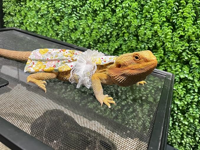 Lizard Dress for Bearded Dragon - Handmade Cotton Tutu Skirt with Lace Princess Sundress Halloween Costume Photo Cosplay Party for Reptile Lizard Bearded Dragon Crested Gecko Chameleon (M, Yellow)