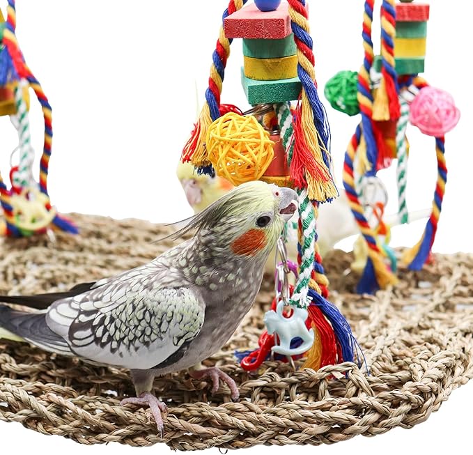 Large Bird Swing Toys, Colorful Parrot Seagrass Mat Hammock with Blocks, Bird Foraging Toy, Bird Cage Accessories, Suitable for Small to Medium Birds Parakeets Lovebirds Cockatiels 15.7 × 11.8 Inches