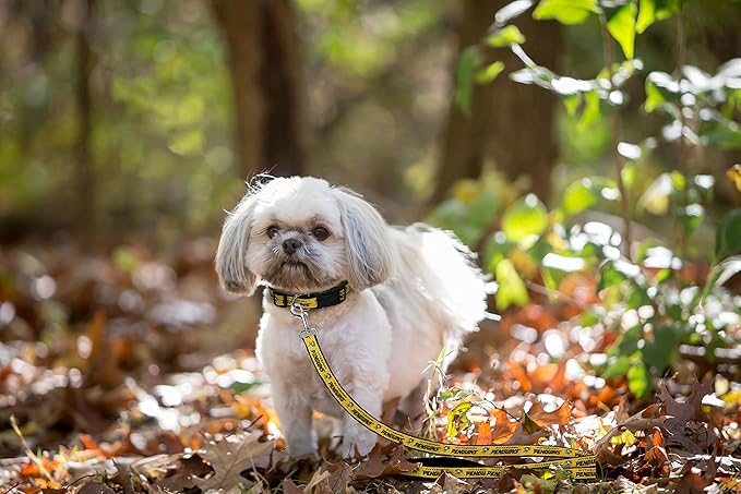 Pets First NHL Pittsburgh Penguins Leash for Dogs & Cats, Walk Cute & Stylish! The Ultimate Hockey Fan Leash!, Large (6 ft Long x 1 in Width) (PEN-3031-LG)