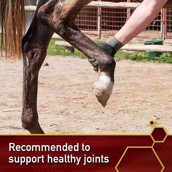 Pro Horse MSM Quality Joint Supplement, 10 Pounds