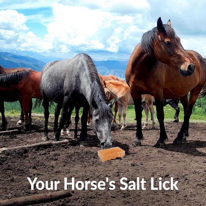 Licking Salt for Horse - 2 Pack, Pink