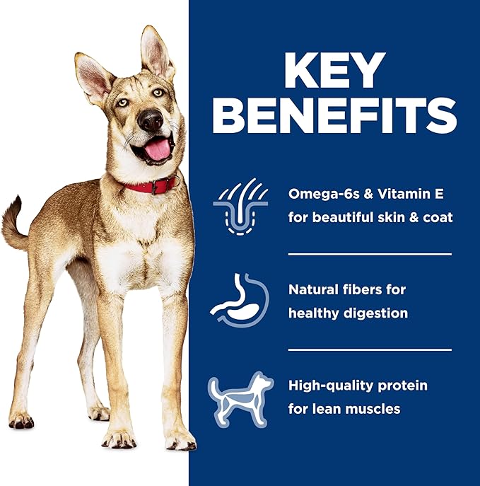 Hill's Science Diet Adult 1-6, Adult 1-6 Premium Nutrition, Dry Dog Food, Salmon & Brown Rice, 4.5 lb Bag