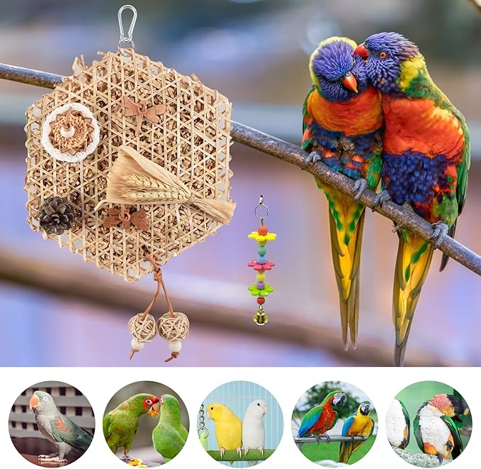 Parrot Conure Toys, Bird Hanging Shredding Foraging Toys, Parakeet Toy Parrot Hanging Bell Toys for Conures, Cockatiel, Budgies, Lovebird, Small Birds Cage Toy