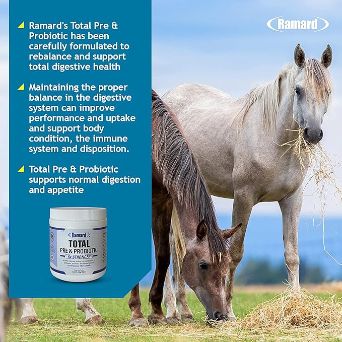 Total Prebiotic & Probiotic Equine Formula - Natural Digestive Supplement for Horses Optimal Gut Health, Nutrient Absorption, Foal Support Pro & Pre Biotics for Livestocks and Horse 8.5 oz Jar