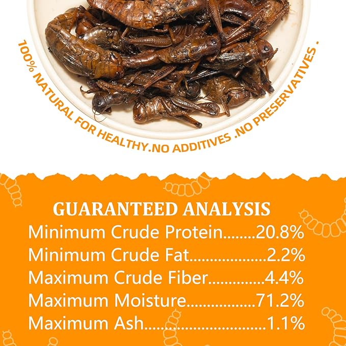 6 Pack Canned Grasshoppers for Reptiles, Fish, Birds and Small Animals, Grasshoppers, Healthy High Protein Treat, Reptile Bird Fish Food 1.2 Ounces Each