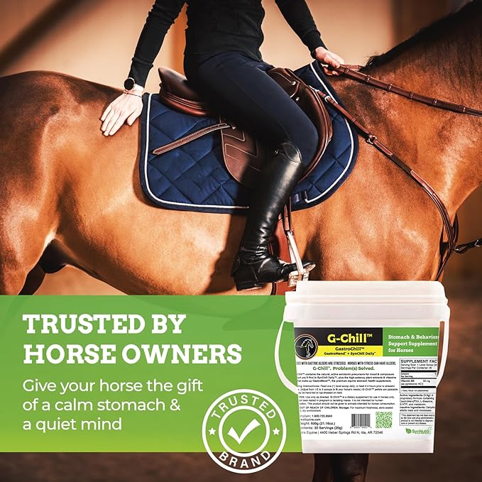 G-Chill All-Natural Digestive Health Support for Horses - 30 Servings - Promotes Stomach & Hindgut Health, Aids in Gastric Ulcer Relief, Enhances Collagen & Fibronectin Production for Tissue Repair