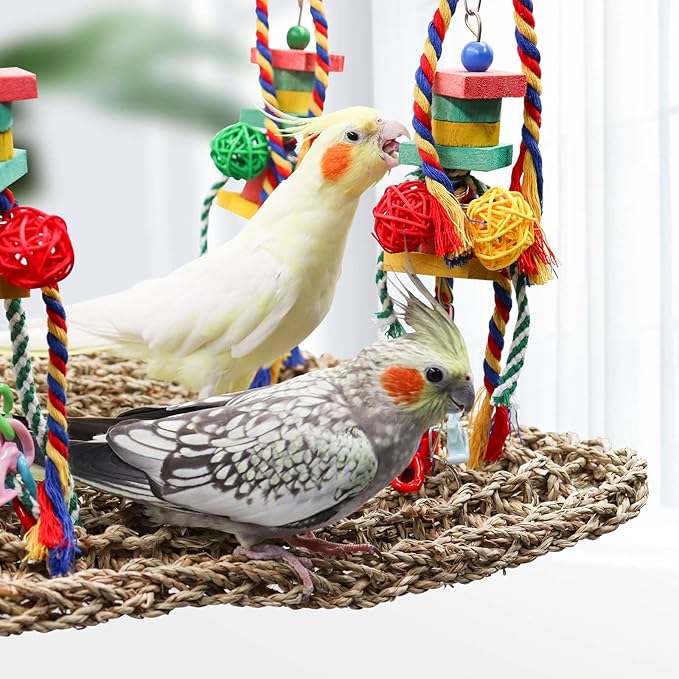 Large Bird Swing Toys, Colorful Parrot Seagrass Mat Hammock with Blocks, Bird Foraging Toy, Bird Cage Accessories, Suitable for Small to Medium Birds Parakeets Lovebirds Cockatiels 15.7 × 11.8 Inches