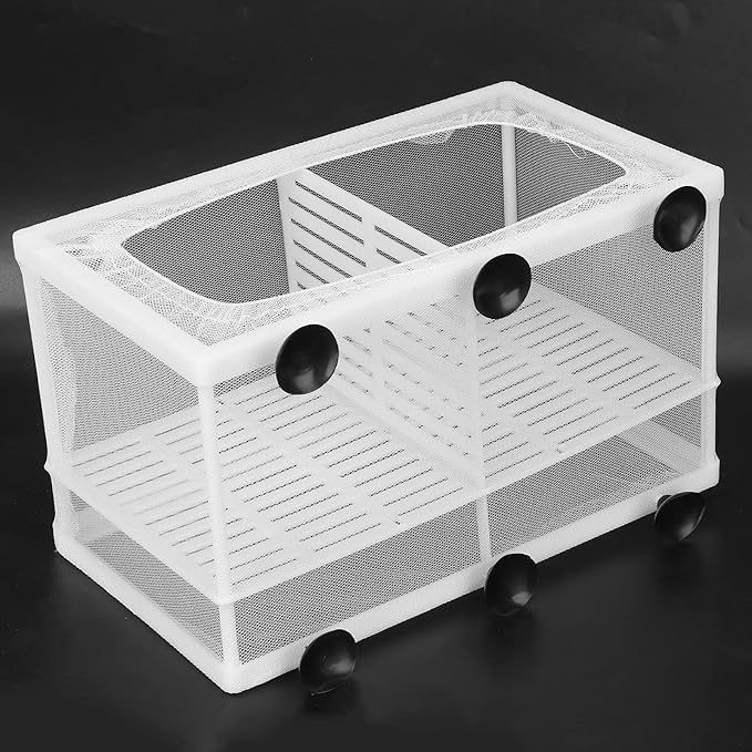 Aquarium Fish Breeder Box Isolation Box Breeder Hatchery Incubator with Suction Cup Large with dividers