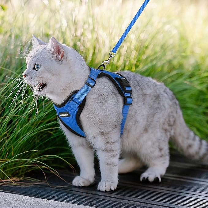 rabbitgoo Cat Harness and Leash for Walking, Escape Proof Soft Adjustable Vest Harnesses for Cats, Easy Control Breathable Reflective Strips Jacket, Navy Blue, M