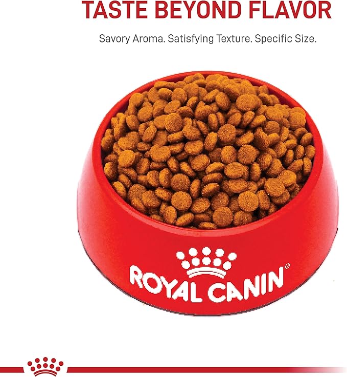 Royal Canin Size Health Nutrition Dry Large Breed Puppy Food, Supports Brain Development, Immune Support and Digestive Health, 30 lb Bag