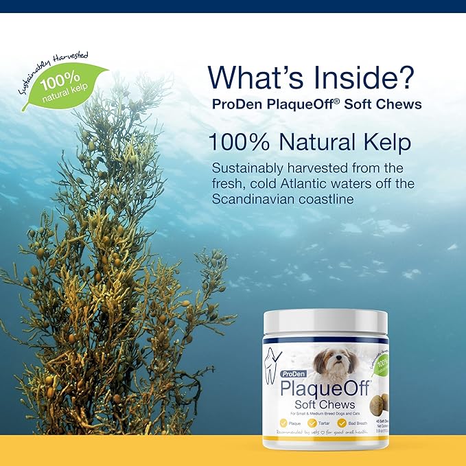 ProDen PlaqueOff Soft Chews with Natural Kelp - for Small & Medium Breed Dogs & Cats - Supports Normal, Healthy Teeth, Gums, and Breath Odor in Dogs & Cats - 45 Soft Chews