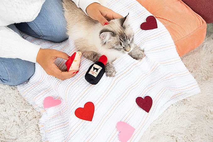 Pearhead Pet Cheese and Wine Plush Cat Toys, Set of 2, Wine and Cheese Catnip Toys, Crinkle Cat Toys, Cat Owner Valentine's Day Keepsake