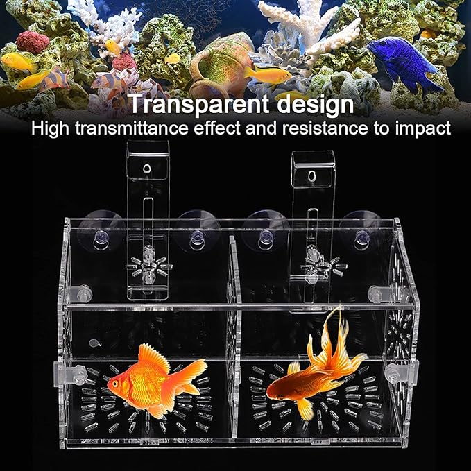 Fish Breeding Box, Acrylic Transparent Fish Breeding Isolation Box Aquarium Hatchery Incubator Holder Fish Separation Breeder Box, with Hook and Sucker Design (20CM*10CM*10CM)