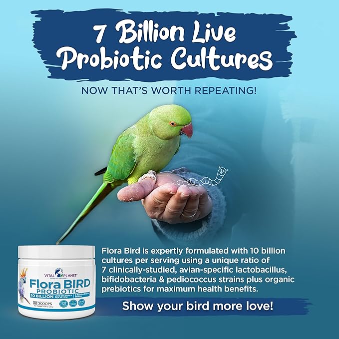 Vital Planet - Flora Bird Probiotic Powder Supplement with 10 Billion Cultures and 7 Diverse Strains, High Potency Probiotics for All Birds for Avian Digestive and Immune Support 80 Scoops 1.06 oz