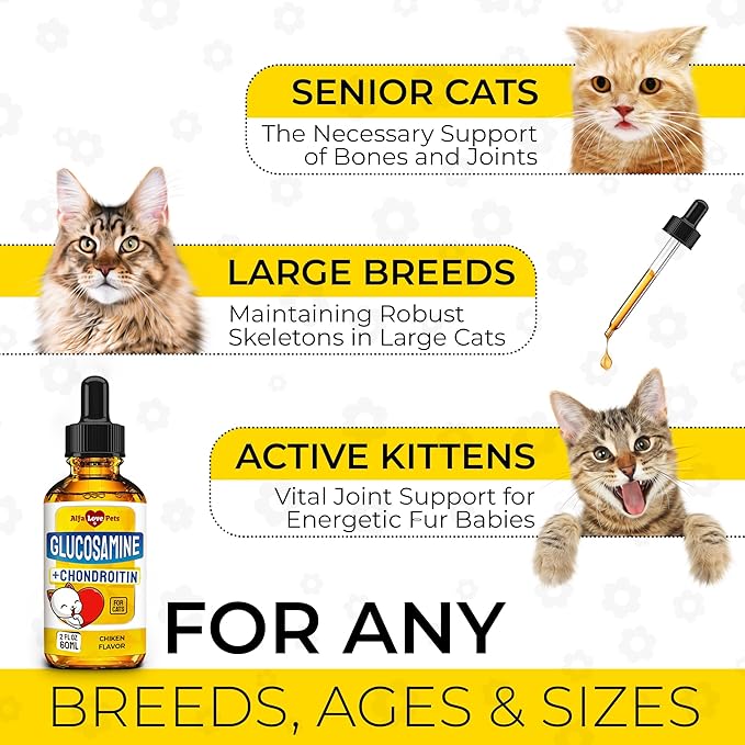 Glucosamine for Cats ✿ Cat Joint Supplement ✿ Cat Glucosamine ✿ Joint Supplement for Cats ✿ Glucosamine for Cats Liquid ✿ Glucosamine Chondroitin for Cats ✿ Chicken Flavor ✿ 2 Oz