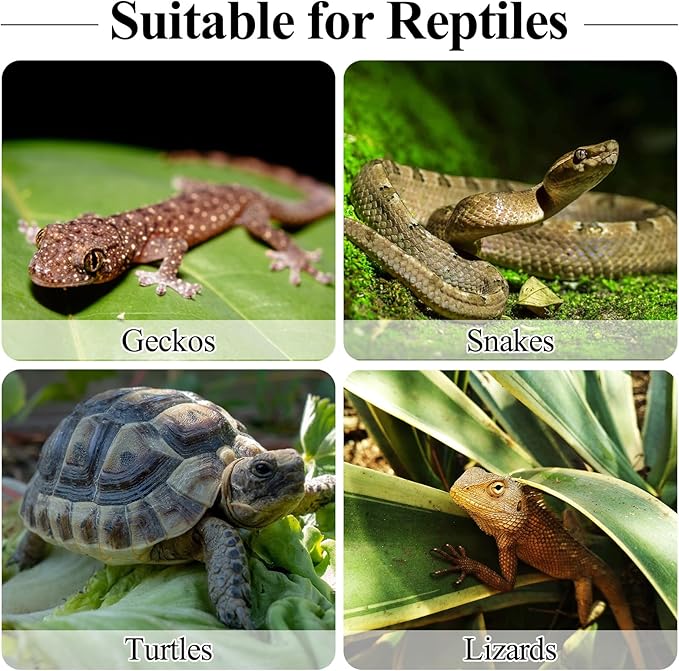 Reptile Egg Incubator Tray: 16 Grids Amphibians Hatchery Box, Reptile Breeding Box, Incubation Box for Hatching Snake, Lizards, Turtle, Gecko Egg Without Thermometer