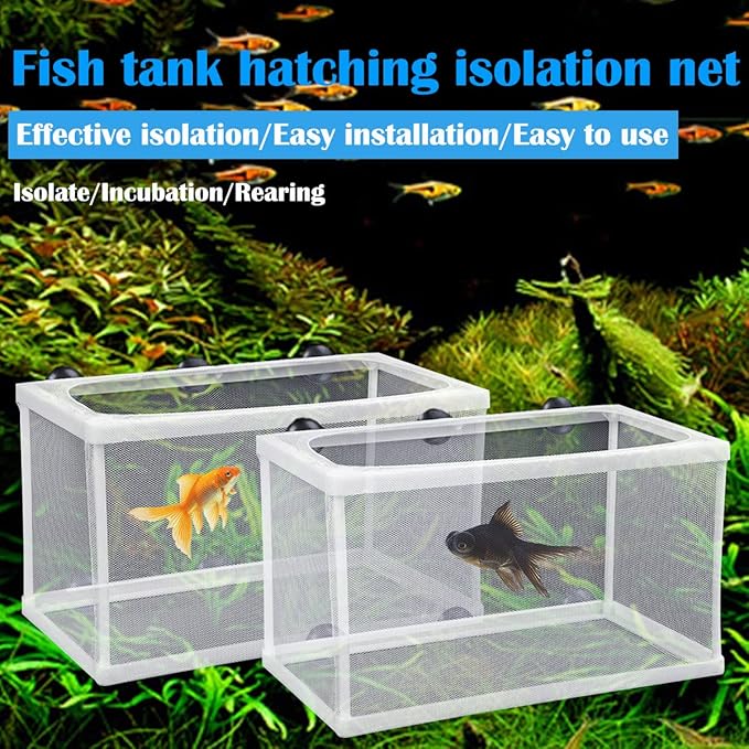 2 Pcs Fish Hatchery Breeder Box Separation Net Plastic Frame Breeder Box Fish Tank Breeder Net Box with Suction Cup for Aquarium