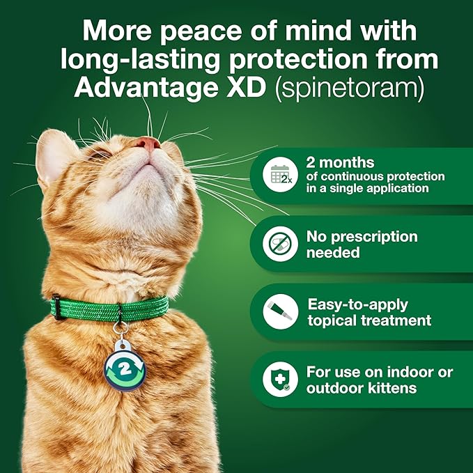 Advantage XD Large Cat Flea Prevention & Treatment For Cats over 9lbs. | 4-Topical Doses, 2-Months of Protection Per Dose