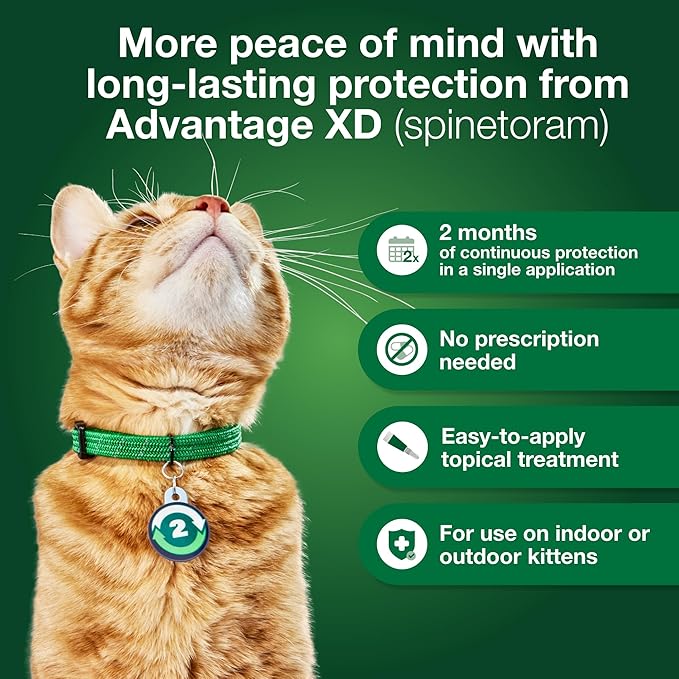 Advantage XD Small Cat Flea Prevention & Treatment For Cats 1.8-9lbs. | 2-Topical Doses, 2-Months of Protection Per Dose