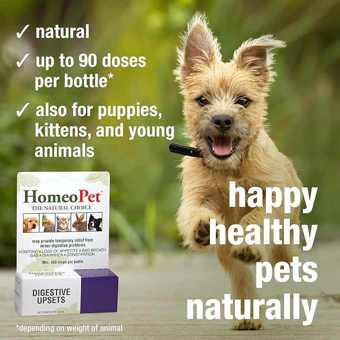 HomeoPet Digestive Upsets, Natural Pet Digestive Support, Digestive Supplement for Dogs, Cats, and Small Pets, 15 Milliliters