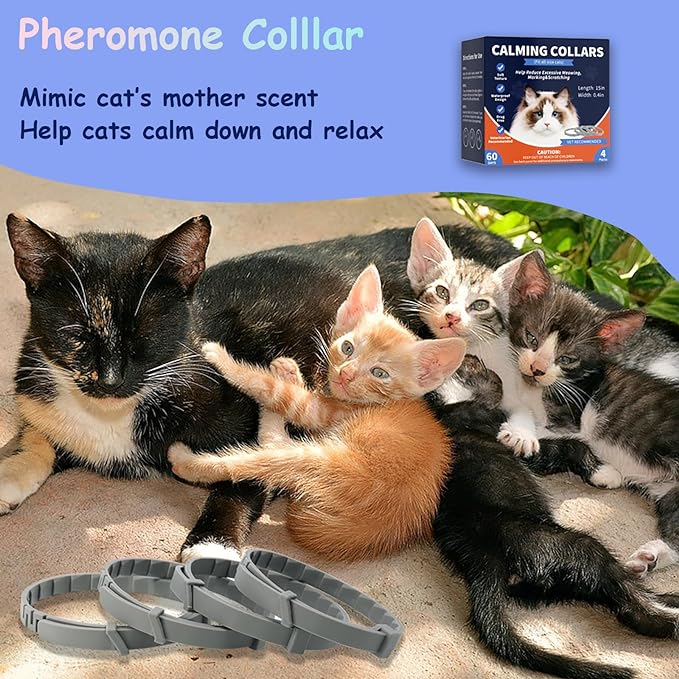 4 Pack Calming Collar for Cats, Cat Calming Pheromones Indoor and Outdoor Activities, Natural Scent Adjustable Fit Kittens to Large Cats Relieve Stress Calming Products