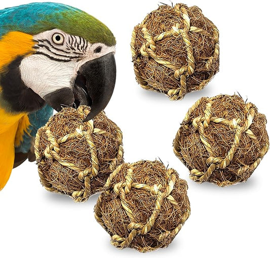 SunGrow Parrot Forager Balls, 4 Beak Care & Enrichment Treats, Bird’s Nesting, and Shredding Foot Companion, for Physical and Mental Wellness, Coconut Fiber Bird Cage Chewing Accessories, 3”