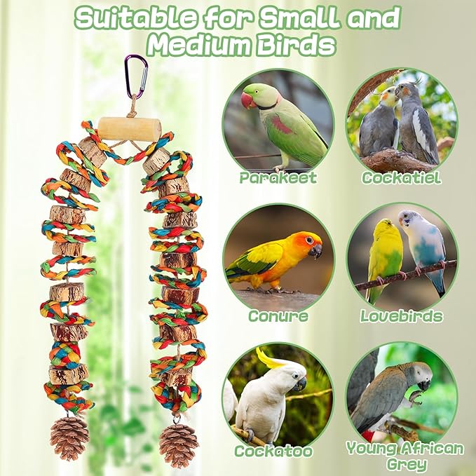 Bird Toys Parrot Toys - Bird Chewing Toy with Natural Starfruit Wood & Pine Cones for Small and Medium-Sized Parakeets Cockatiels Conures Lovebirds Cockatoos African Grey Amazon Parrots