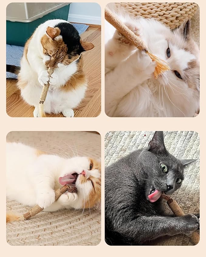 Tocirelo Silvervine Sticks Cat Toys - 6 Pack Natural Cat Chew Stick Toy for Cat Dental Care Teeth Cleaning, Matatabi Cat Nip Treat Toys for Indoor Cats Kittens