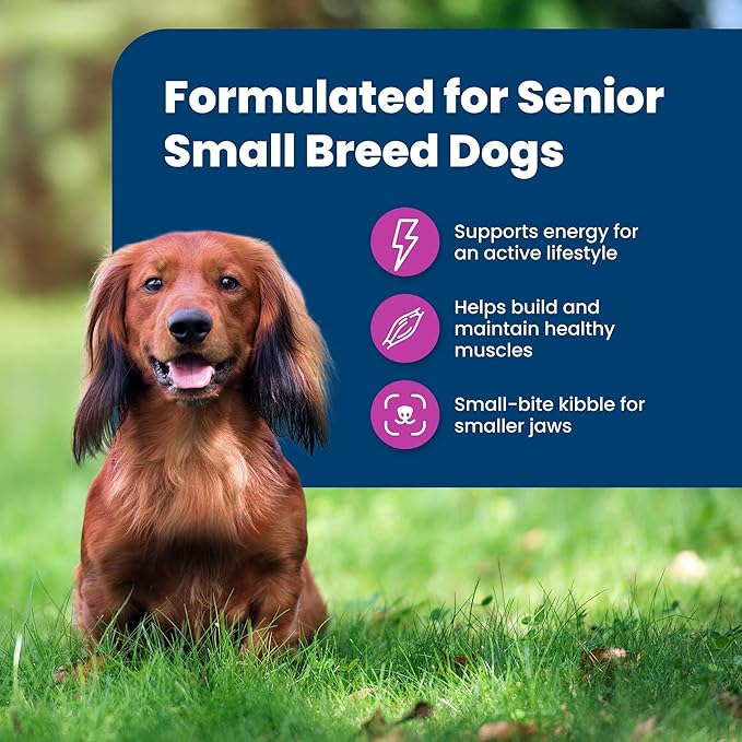 Blue Buffalo Life Protection Formula Small Breed Senior Dry Dog Food, Supports Joint Health and Immunity, Made with Natural Ingredients, Chicken & Brown Rice Recipe, 15-lb. Bag