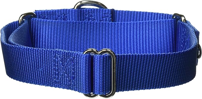 PetSafe Adjustable Martingale Collar - Only Tightens When Dogs Pull, Prevents Slipping Out - Helps with Strong Pullers, Increased Control - Alternative to Choke Collar - 1", Medium, Royal Blue