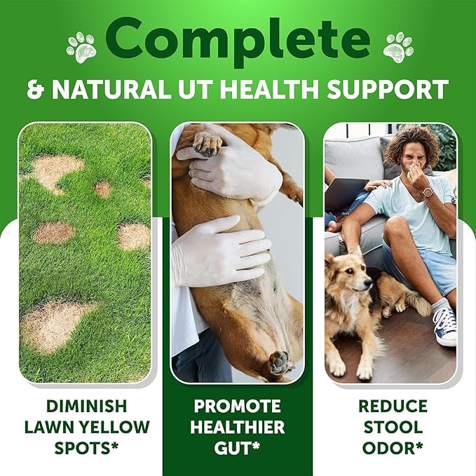 Grass Burn Spot Chews for Dogs - Dog Pee Lawn Spot Saver Caused by Dog Urine - Grass Treatment Rocks - Dog Urine Neutralizer for Lawn - Probiotics & Digestive Enzymes Supplement
