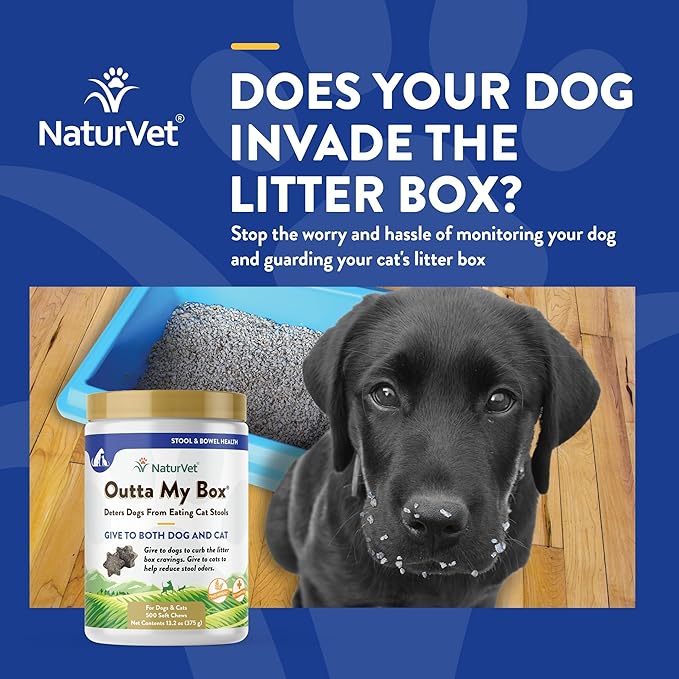 NaturVet – Outta My Box – 500 Soft Chews – Deters Dogs from Eating Cat Stools – Reduces Cat Stool Odors – For Dogs & Cats – 50 Day Supply