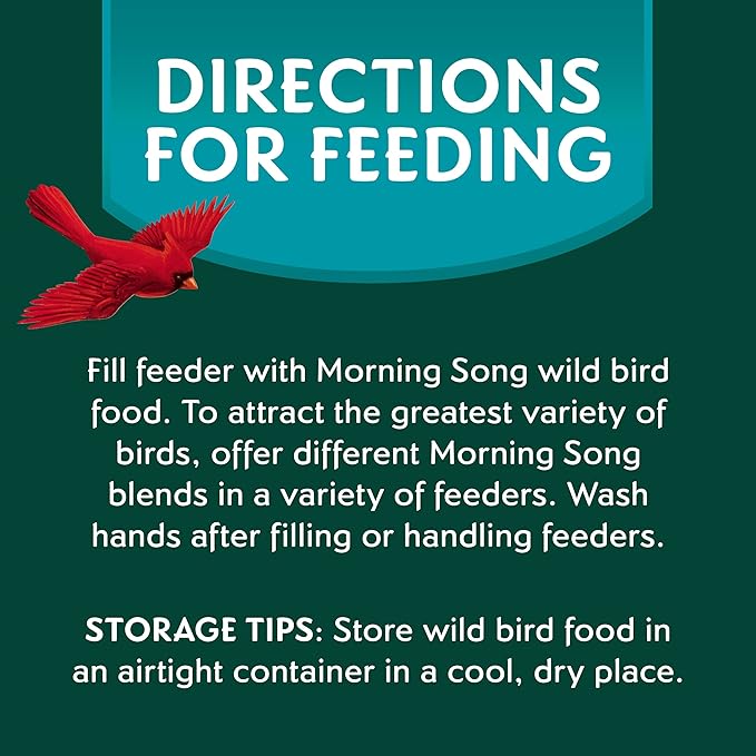 Morning Song Clean & Free Shell Free Wild Bird Food, Premium No Mess Bird Seed for Outside Feeders, 10-Pound Bag