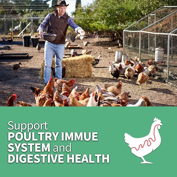 High Calcium, Non-GMO, 10LB Dried Black Soldier Fly Larvae for Chickens, 60-100X More Calcium Than Mealworms for Laying Hen, Ducks, Wild Birds,Turtles